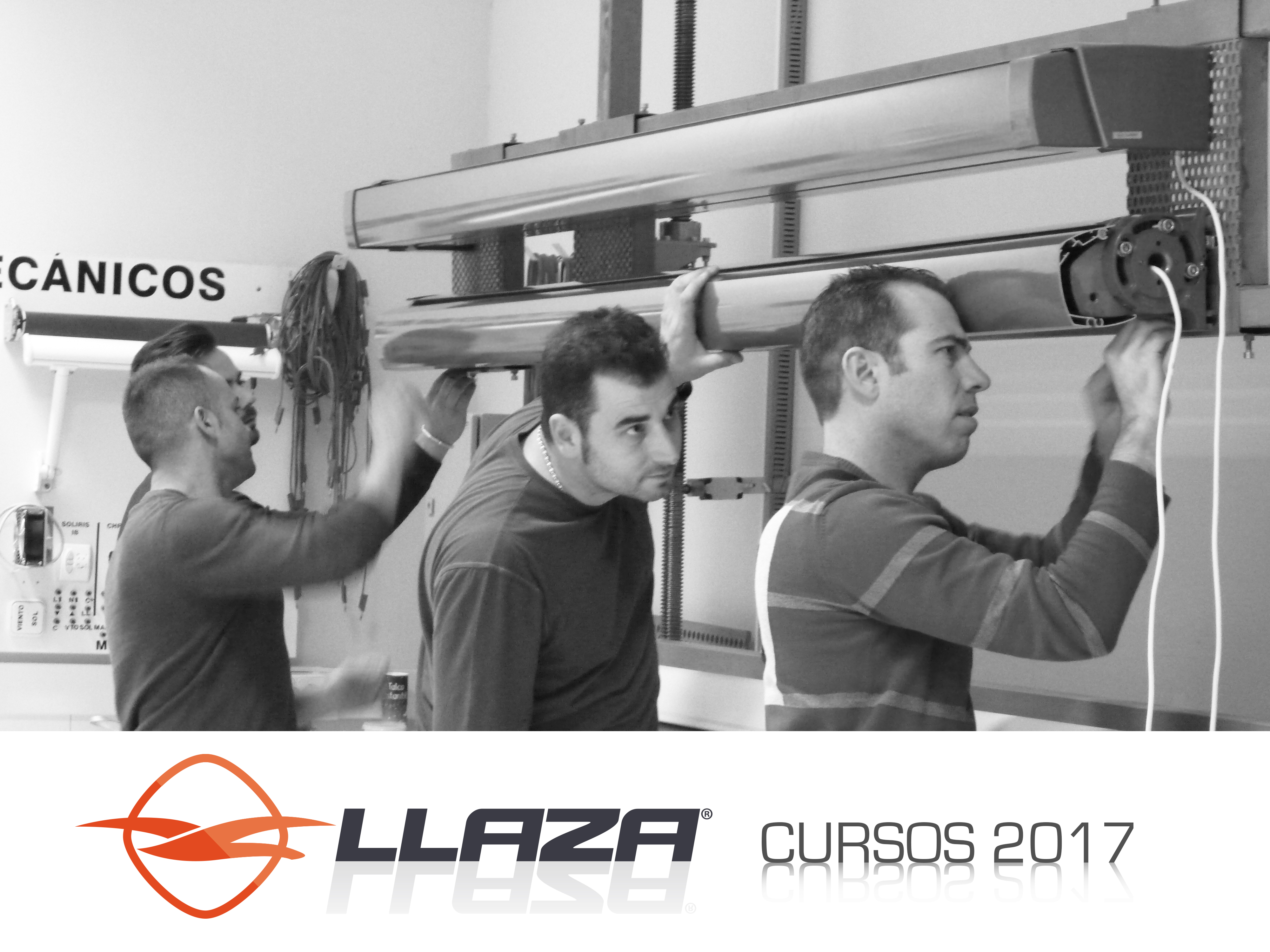 formacion_llaza